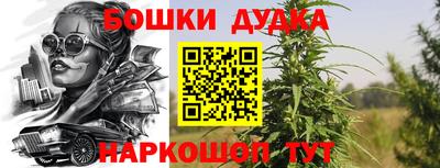 apvp Шелехов