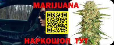 apvp Шелехов